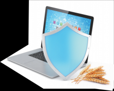 依托大数据、区块链等手艺实现跨地区、跨行业